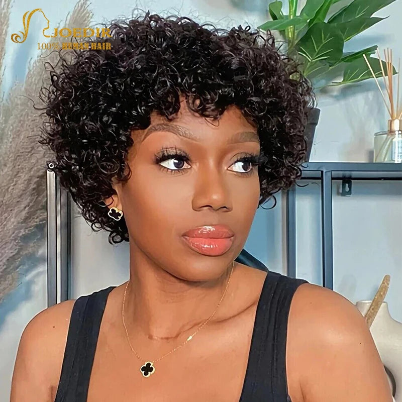 Joedir Natural Brown Afro Kinky Curly Bob Human Hair Wigs For Women Brazilian Remy Hair Ready To Go 180 Density Big Curly Wigs