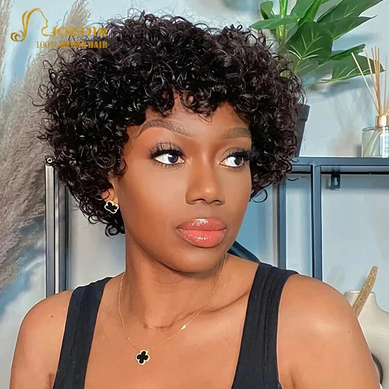 Joedir Natural Brown Afro Kinky Curly Bob Human Hair Wigs For Women Brazilian Remy Hair Ready To Go 180 Density Big Curly Wigs