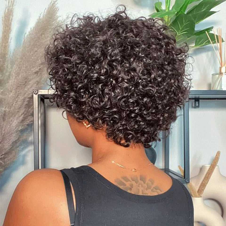 Joedir Natural Brown Afro Kinky Curly Bob Human Hair Wigs For Women Brazilian Remy Hair Ready To Go 180 Density Big Curly Wigs